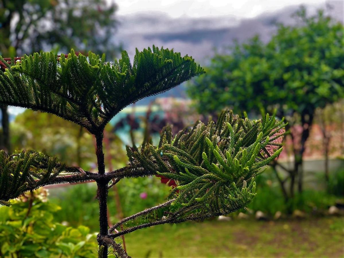 Solan Retreat Panzió Kültér fotó